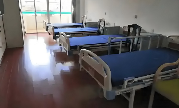 灵皇传