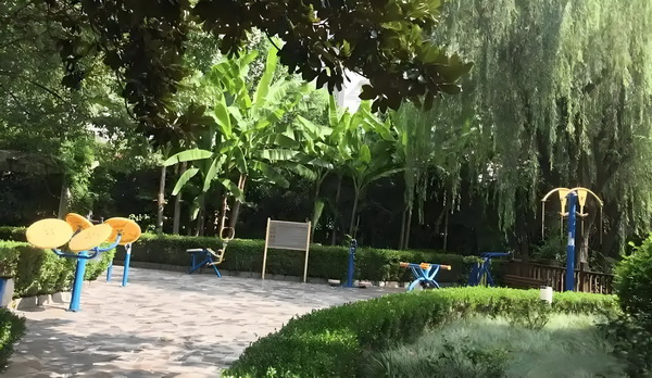 王妃大人请上座